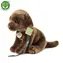 Rappa Pluszowy pies Labrador 25 cm / EKOLOGICZNY / od 0 miesiąca