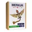 Merkur - Dino - Pterozaur / 145 sztuk / od 5 lat 