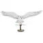 Puzzle 3D Metal Earth Seria Premium : Harry Potter - Jadwiga / od 14 lat 