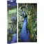 GRAFIX Obraz diamentowy Paw 40x50 cm