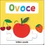 Svojtka & Co. Książka z łamigłówkami: Owoce / od 1 roku