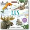 Svojtka & Co. Wild World Forest / od 3 lat