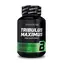 BioTech Tribulus Maximus 90 tabletek