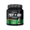 BioTech TST + GH 300 g pomarańczowy