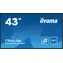 43" IIYAMA LE4341S-B2 czarny / IPS / 1920x1080 / 16:9 / 8ms / 1200:1 / 350cd / głośnik / VGA / HDMI 