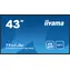 43" IIYAMA ProLite LH4341UHS-B2 czarny / IPS / 3840x2160 / 16:9 / 8ms / 1200:1 / 500cd / głośnik / VGA / HDMI 