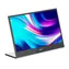 16" Mobile Pixels Spojrzenie szare / 1920 x 1080 / 16:9 / 28 ms / 250 cd-m2 / HDMI + DP + USB-C