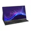15,6" Uperfect Ubegin B5 czarny / IPS / 1920x1080 / 16:9 / 250cd-m2 / miniHDMI + 2xUSB-C + Jack 3,5mm / przenośny 