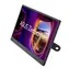 15,6" Asus ZenScreen MB166CR / LCD / 1920 x 1080 / IPS / 16:9 / 5 ms / 800:1 / 250 cd-m2 / USB-C