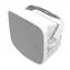 Klipsch PSM-525-T biały 1 szt. / Głośnik ścienny / 100 V / 65 W / 8 Ohm / 89 dB