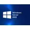 Serwer Windows 2022 - Kategoria