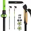 Kijki do nordic walking NILS NW8611