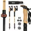 NILS TK8606 Kije trekkingowe