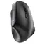 Cherry MW 4500 czarna / Mysz ergonomiczna / 1200DPI / 2.4GHz / USB nano / 2x AAA