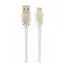 Gembird CC-USB2R-AMCM-2M-W Kabel USB-C biały / 1x USB-C (M) / 1x USB-A (M) / 2m