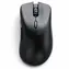 Glorious Model D 2 PRO Wireless 4K/8K Polling czarny / bezprzewodowa mysz gamingowa / 26000 DPI / 2,4 GHz + USB-C / 6 przycisków 