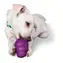 PetSafe Squirrel Dude S / Zabawka dla psa / Odpowiednia dla psów o wadze od 4,5 do 9 kg