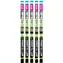 Arcadia Euro Range Forest 5% UVB T8 18W - 60cm/26mm