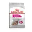 Royal Canin Mini Exigent 1 kg / Granulat dla psów / od 1 do 10 kg / wybredny