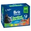 Brit Premium Cat Pouches Sterylny talerz (12x100 g) 1,2 kg / Woreczki dla kotów