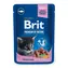 Brit Premium Cat Pouchs with Fish Kitten 100 g / Saszetki dla kotów