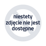 BOSCH PFS 1000 / pistolet natryskowy / 410W / 100 ml-min / zbiornik 800 ml / wąż 1,3m / 230V