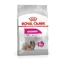 Royal Canin CCN Mini Exigent Adult 3 kg / Granulat dla psów