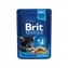 Brit Cat Premium Woreczki Kawałki kurczaka dla kociąt 100g / Woreczek dla kotów