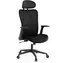 SENSE7 Noxo czarny / Fotel ergonomiczny biurowy / nośność 150 kg
