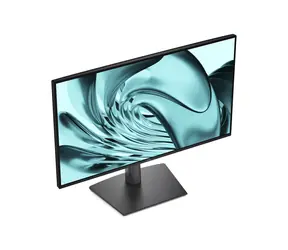 24-calowy DELL Pro P2426H czarny / Monitor / IPS / 1920×1080 / 120 Hz / Koncentrator USB / Obrotowy / 3RNBD