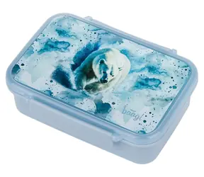 Pudełko na lunch BAAGL Polar z przegródkami / Pudełko na lunch / Bez BPA / Nadaje się do mikrofalówki