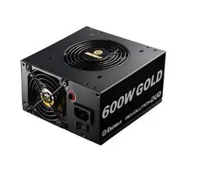 Enermax Revolution Duo ERD600AWL-F / Źródło / 600 W / 80PLUS Gold / Podwójny wentylator