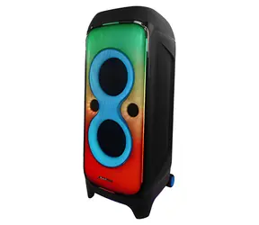 Blaupunkt PB100X / Głośnik / Bluetooth / Karaoke