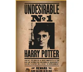 KCIUK W UP! Puzzle Harry Potter Poszukiwany nr 1 / 50 elementów / dla dorosłych i dzieci