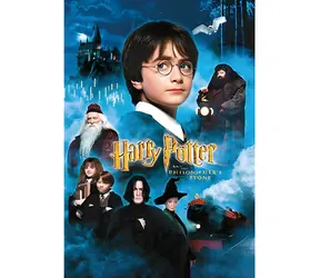 ThumbsUp! Puzzle Harry Potter i Kamień Filozoficzny / 50 elementów