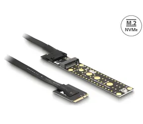 DeLock / Adapter M.2 Key A+E męski - M.2 Key M slot / kabel 20 cm