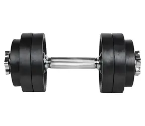 Hantel kątowy RULYT / obciążenie jedną ręką / 15 kg / sztanga 30 mm / 6x krążek