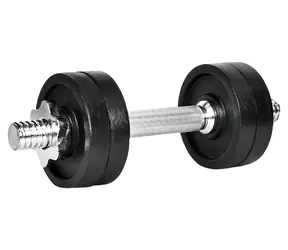 RULYT Angular 4× disc / Hantel jednoręczny / 8 kg / sztanga 30 mm