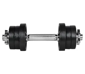 Hantel kątowy RULYT / obciążenie jedną ręką / 9 kg / sztanga 30 mm / 6 dysków