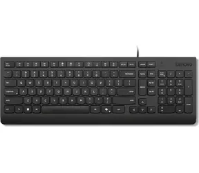 Lenovo Essential czarny / Klawiatura przewodowa / Układ CZ/SK / 1x USB-A