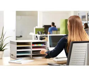 Fellowes Bankers Box / Organizer na dokumenty / 8 przegródek / 230 x 55 x 310 mm / tektura z recyklingu