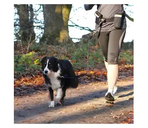 TRIXIE Szelki Hands Free ze smyczą sprężynową / Szelki i smycz / Trekking dla psów / do 40 kg / 100-135 cm