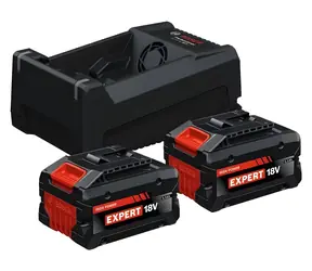 BOSCH Expert 1600A0373P / Zestaw startowy 2x EXBA18V-55 5,5 Ah + ładowarka GAL 12V/18V-80 / AMPShare Alliance