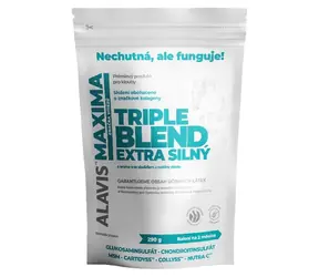 ALAVIS MAXIMA Triple Blend Extra strong 290 g / Odżywka na stawy / Proszek / MSM / Glukozamina / Chondroityna