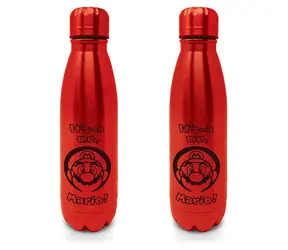 Butelka ze stali nierdzewnej Pyramid Mario Mini 540 ml / Butelka / stal nierdzewna