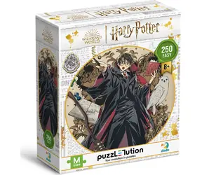 Puzzle DODO Harry Potter: Młody czarodziej / 250 elementów