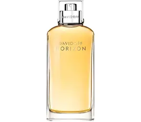 Davidoff Horizon / Męska woda toaletowa / EDT / 125 ml