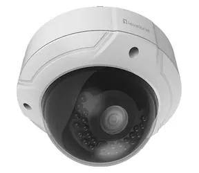 LevelOne FCS-3085 Biała / Kamera IP / Kopułkowa / 4 MP / IR / PoE / IP66