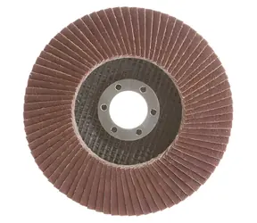HAUSHALT Ściernica listkowa P60 / Ściernica /  115 mm / otwór 22 mm