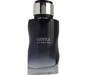 Reyane Tradition Gentle Elsatys EDP 100 ml / woda perfumowana / dla mężczyzn